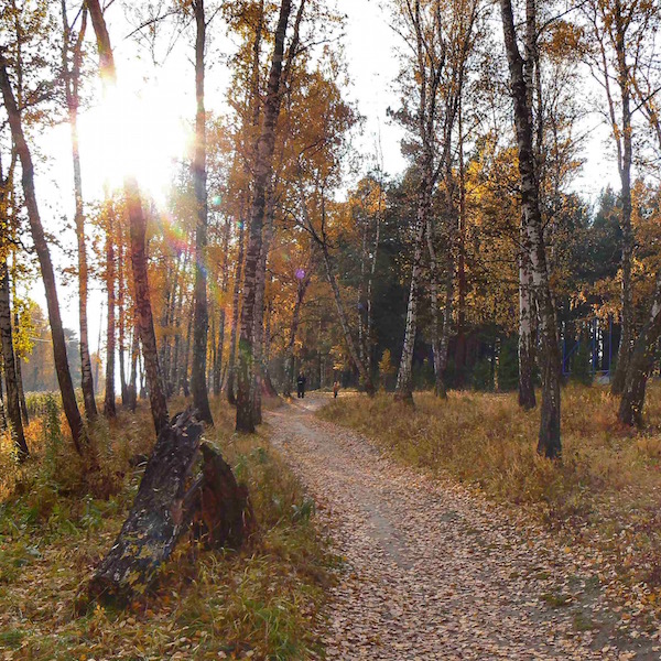 L'autunno, anche in Siberia: la magia dei colori di questa stagione di passaggio nei dintorni di Krasnoyarsk